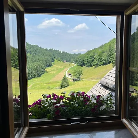 Hochsteinalm Διαμέρισμα *