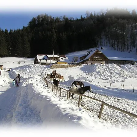 Hochsteinalm *