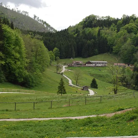 Hochsteinalm * Traunkirchen