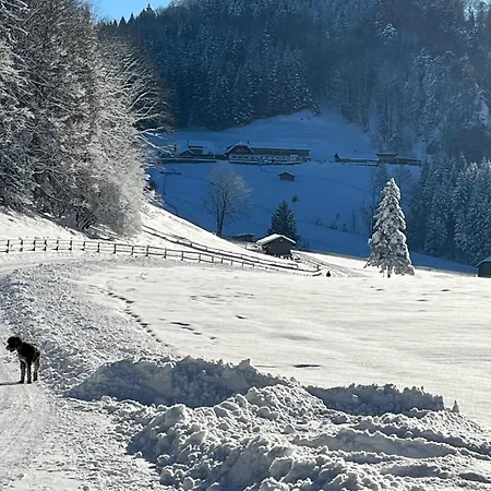 Hochsteinalm *