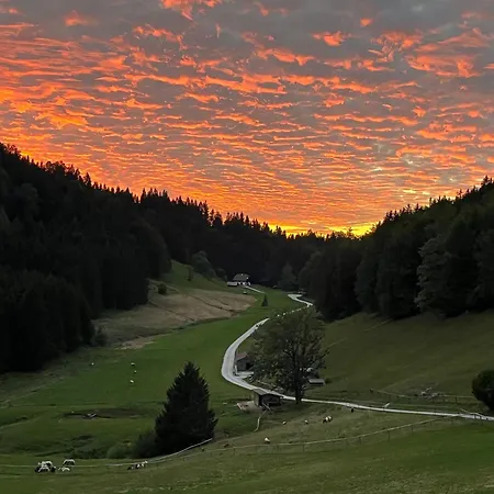 Hochsteinalm Traunkirchen
