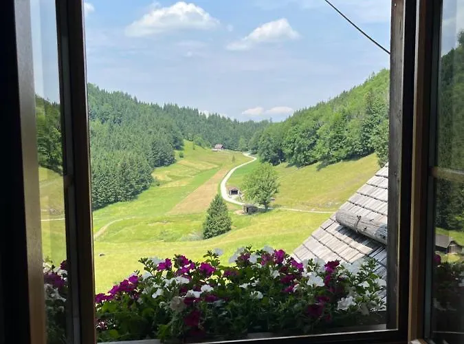 Hochsteinalm Апартаменты *