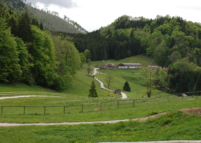 Hochsteinalm * Траункирхен