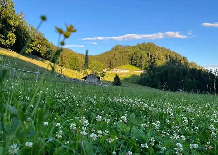 Hochsteinalm Апартаменты