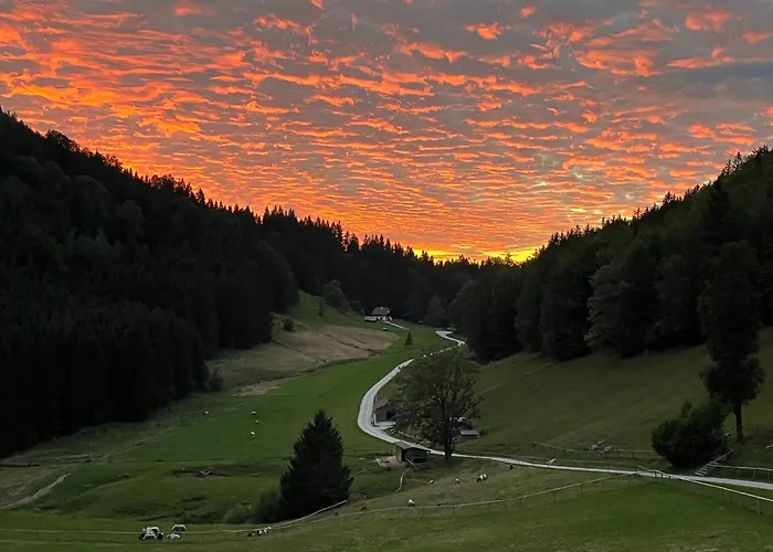 Hochsteinalm Траункирхен